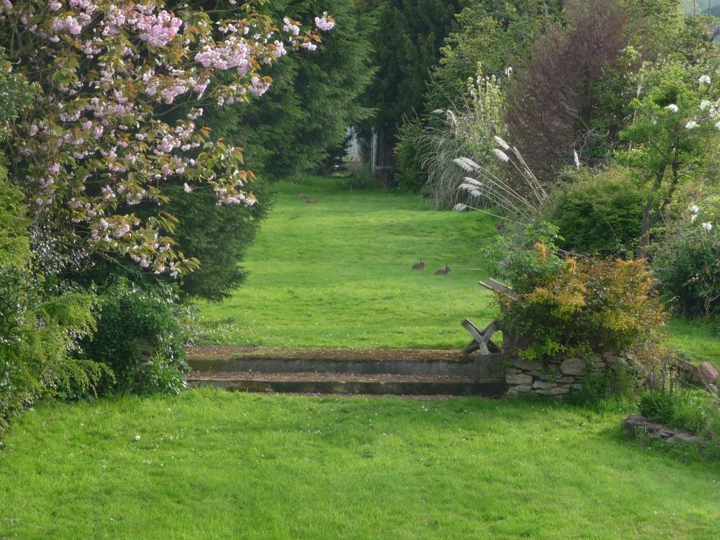 The Station Guest House Galmpton Exteriér fotografie